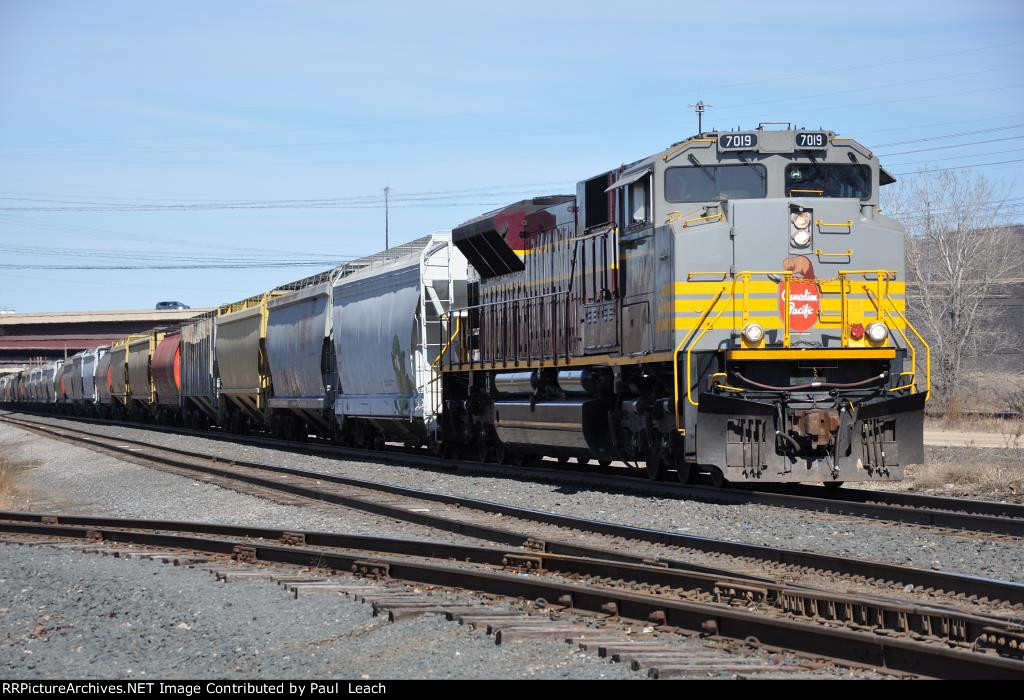 Eastbound grain train trails a heritage beaver